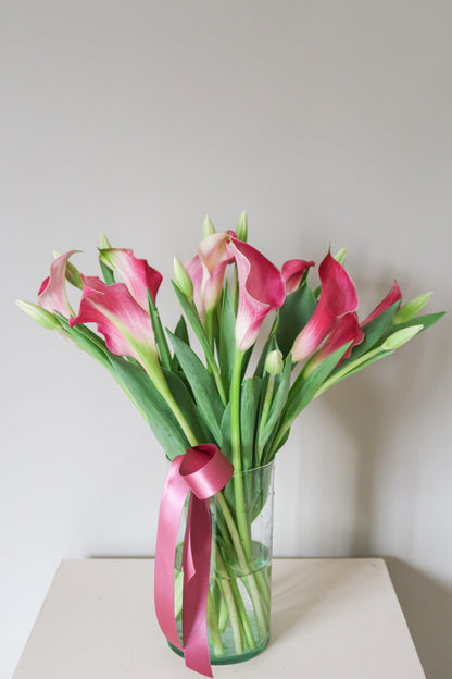 Tulipanes & Calla Lily